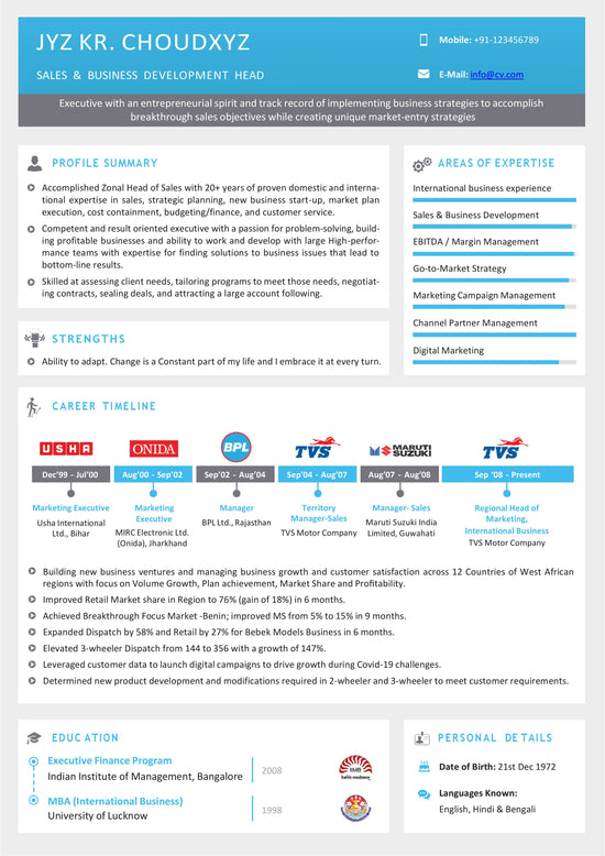 Infographic CV | ATS Optimized | Resume Template | One Pager