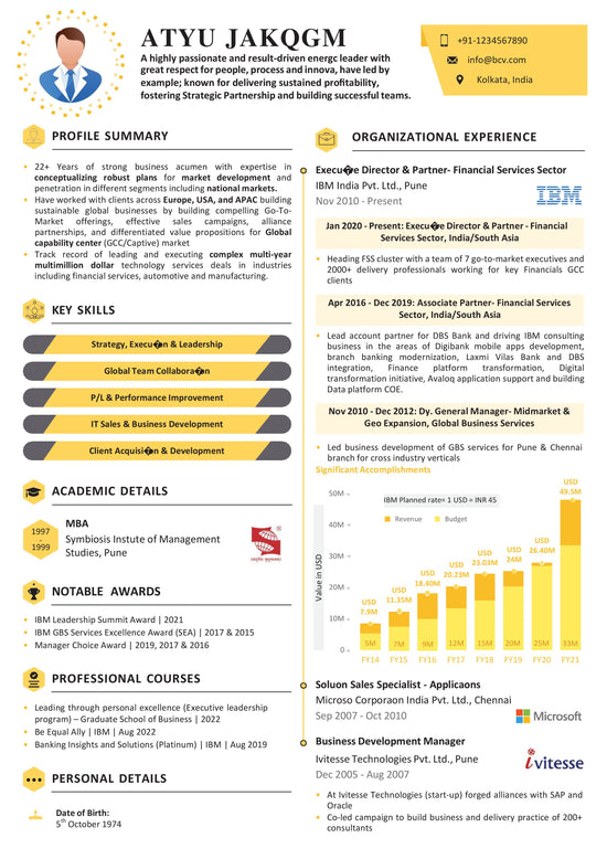 Infographic CV | ATS Optimized | Resume Template | Word Format