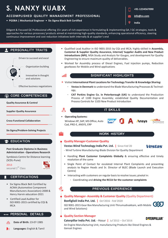 ATS Resume | Infographic cv download Editable File | Word Format